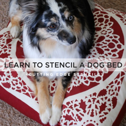Using the Charlotte Stencil, learn how to paint and create your own dog bed. www.cuttingedgestencils.com