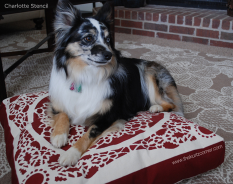 Adorable Charlotte Stenciled DIY dog bed! http://www.cuttingedgestencils.com/charlotte-allover-stencil-pattern.html