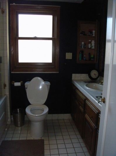 The bathroom on HGTV's Power Broker before they stenciled.