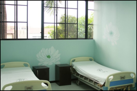The Tree Peony Stencil dresses up this maternity hospital room in San Salvidor. http://www.cuttingedgestencils.com/large-flower-stencil-design.html