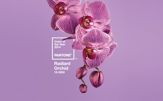 See how Pantone's Color of the Year 2014 Radiant Orchid is used in stecniled spaces. 