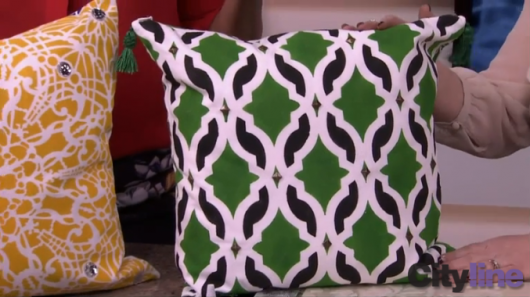The Tamara Trellis and Stephanie's Lace stenciled accent pillows on Cityline CityTV. http://paintapillow.com/index.php/tamara-trellis-paint-a-pillow-kit.html
