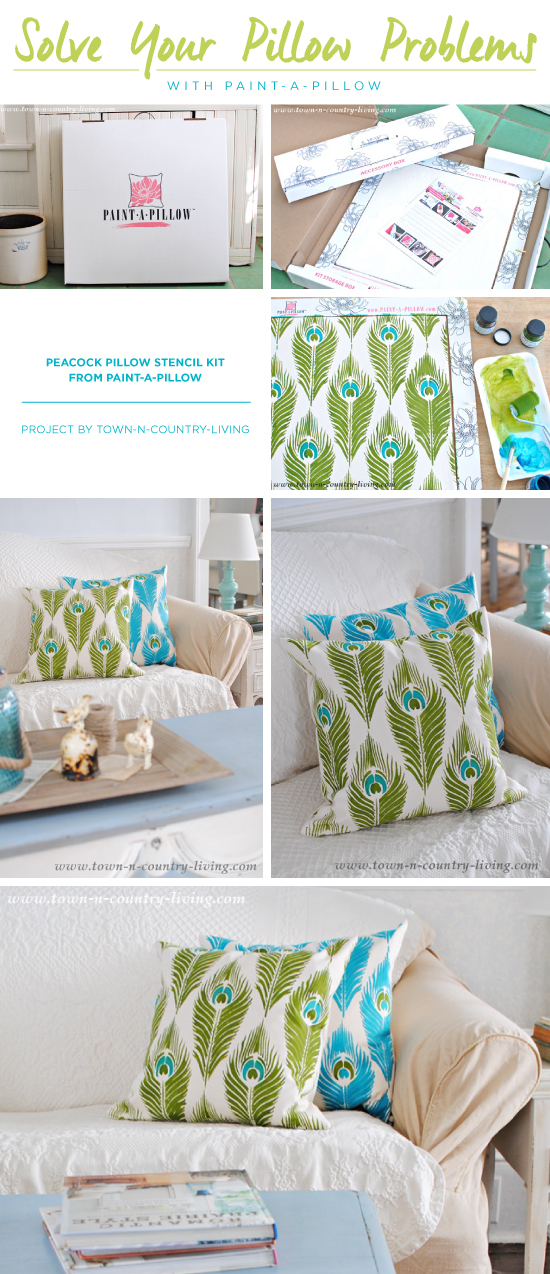 Cutting Edge Stencils shares how to DIY stenciled accent pillows using the Peacock Feathers Paint-A-Pillow kit. http://paintapillow.com/index.php/peacock-feathers-paint-a-pillow-kit.html