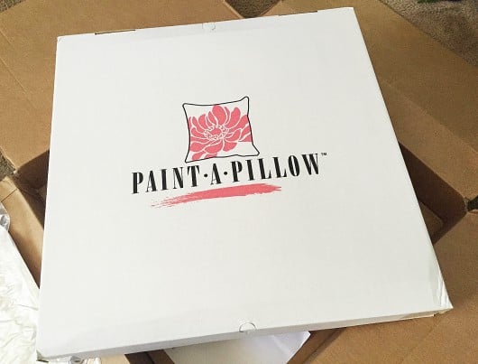 Paisley Paint-A-Pillow kit. http://paintapillow.com/index.php/paisleys-paint-a-pillow-kit.html