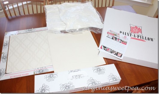 The Tamara Trellis Paint-A-Pillow kit has everything needed to create a fabulous accent pillow. http://paintapillow.com/index.php/tamara-trellis-paint-a-pillow-kit.html