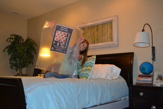 A DIY stenciled bedroom makeover using the Cascade Allover Stencil from Cutting Edge Stencils. http://www.cuttingedgestencils.com/cascade-allover-stencil-pattern.html