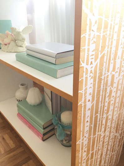 Learn how to stencil a DIY bookcase using the Birch Forest Craft Stencil from Cutting Edge Stencils. http://www.cuttingedgestencils.com/birch-forest-stencil-DIY-furniture-crafts.html