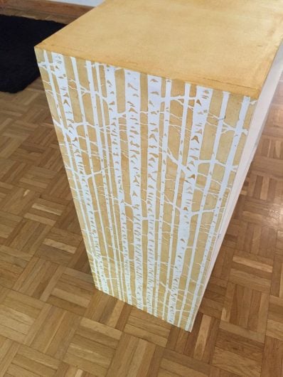 A DIY stencil tutorial on how to paint a plain bookcase using the Birch Forest Craft Stencil from Cutting Edge Stencils. http://www.cuttingedgestencils.com/birch-forest-stencil-DIY-furniture-crafts.html