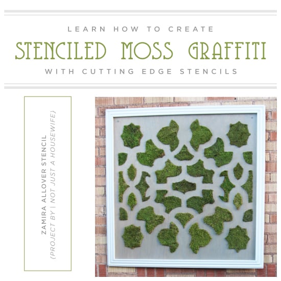 cutting-edge-stencils-zamira-stencil-diy-stenciled-moss-graffiti-art