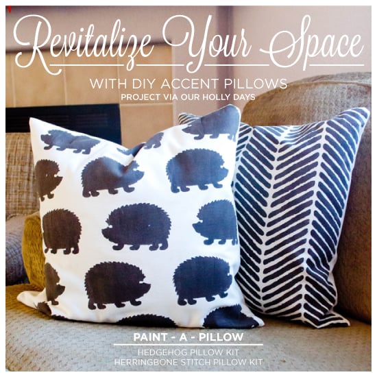 hedgehog-paint-a-pillow-kit-herringbone-stitch-accent-pillows-stencils