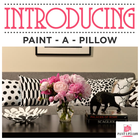 paint-a-pillow-stenciled-pillows