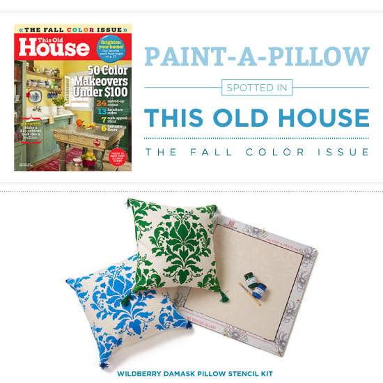 paint-a-pillow-this-old-house-diy-accent-pillows-1