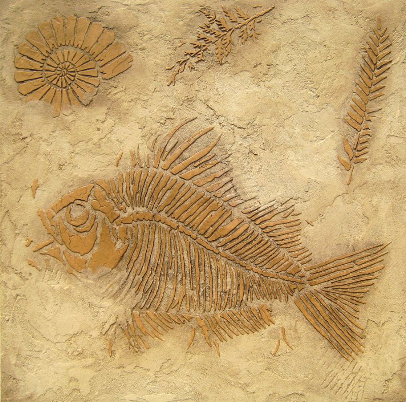 fossil stencil