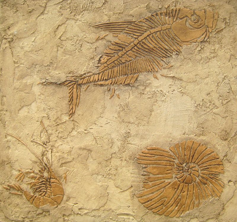 fossil stencil