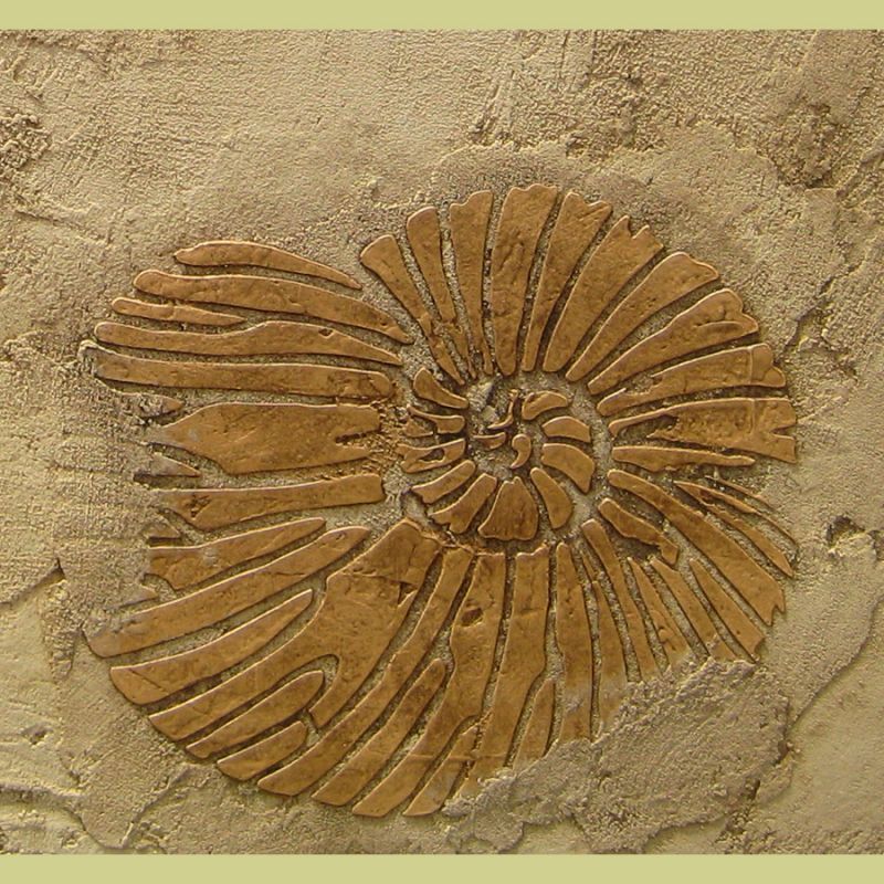 fossil stencil