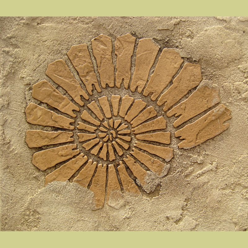 fossil stencil