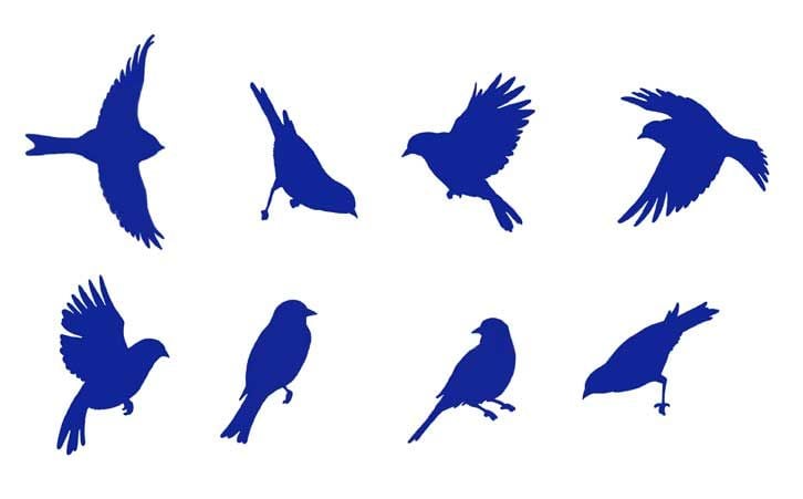 bird stencil