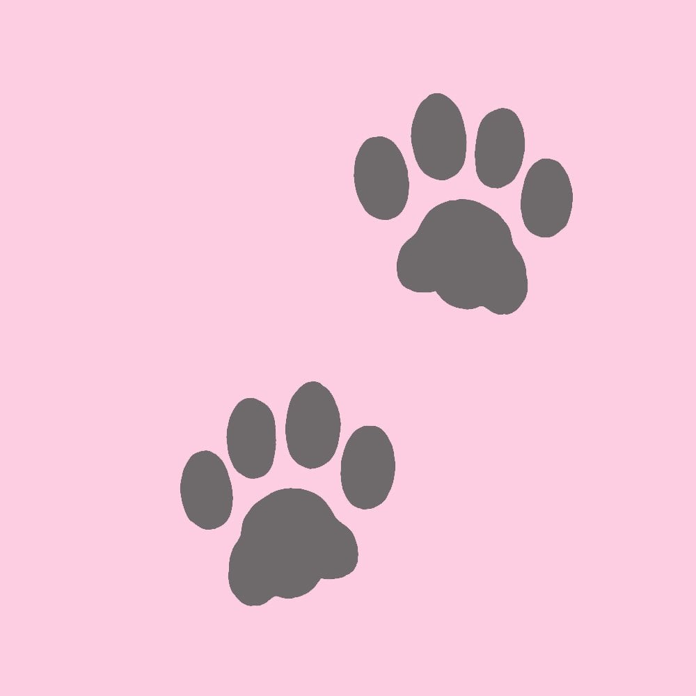 Cat-Paw-Prints-stencil