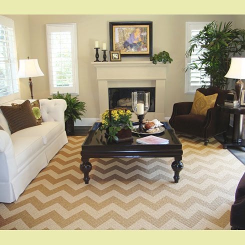 Chevron-stenciled-rug