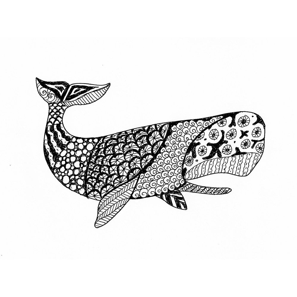 Coloring-pages-designs-stencils-stencil-Humpback_Whale