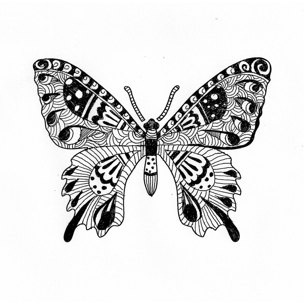 Coloring-pages-designs-stencils-stencil-Swallowtail