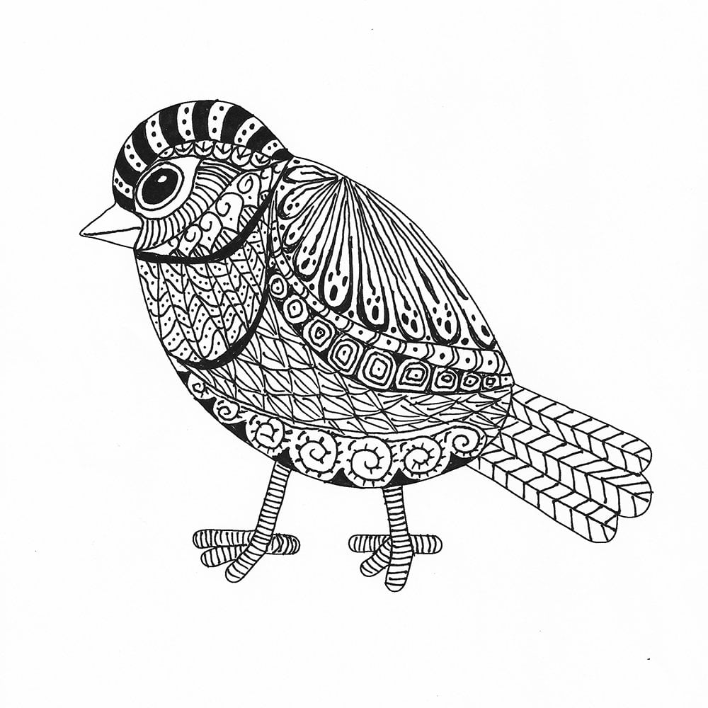 Coloring-pages-designs-stencils-stencil-birdie