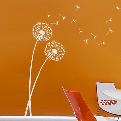 dandelion flower stencil painted on orange wall