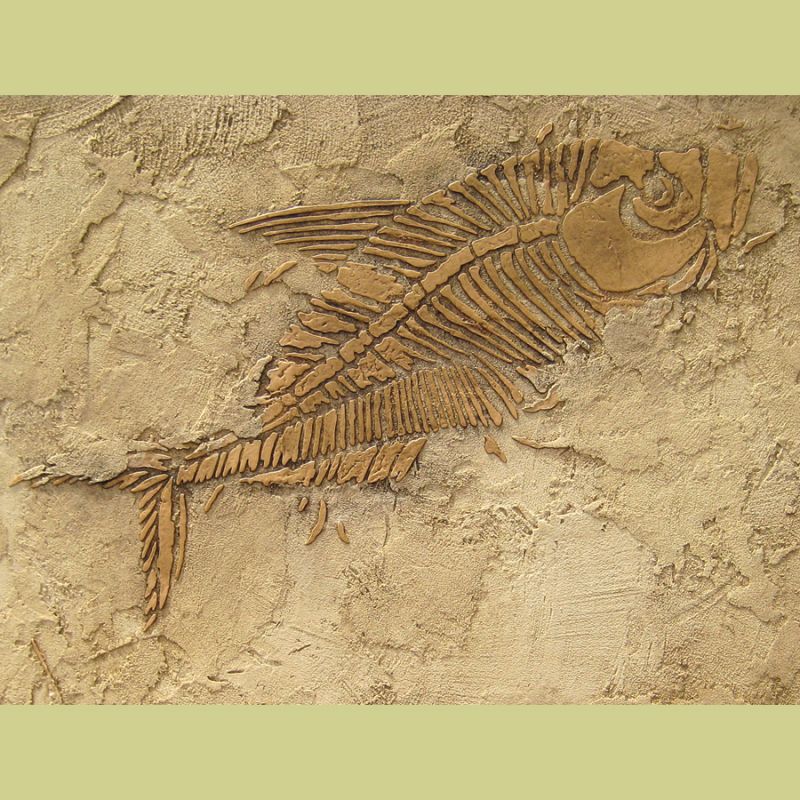 fossil stencil