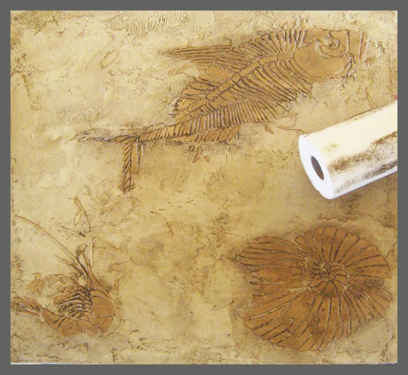 fossil stencils