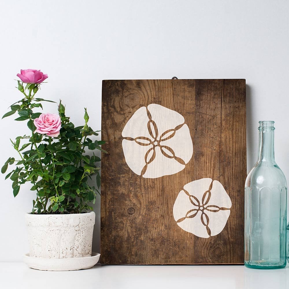 nautical-decor-beach-wall-stencil-sand-dollar-design