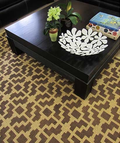 stencild sisal rug