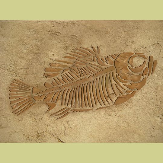 small fish fossil stencil