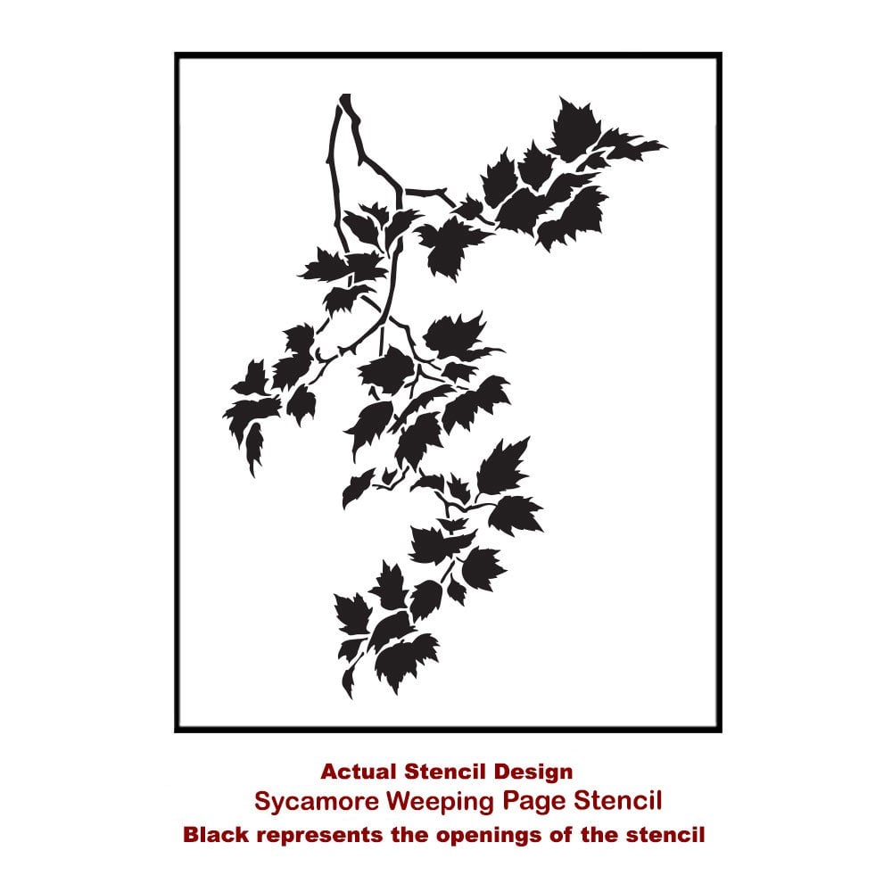 Sycamore-weeping-medium-card-template-stencil