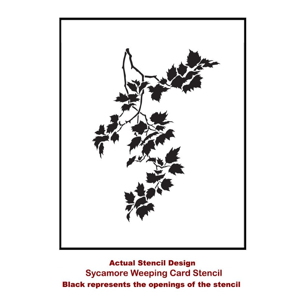 Sycamore-weeping-small-card-template-stencil