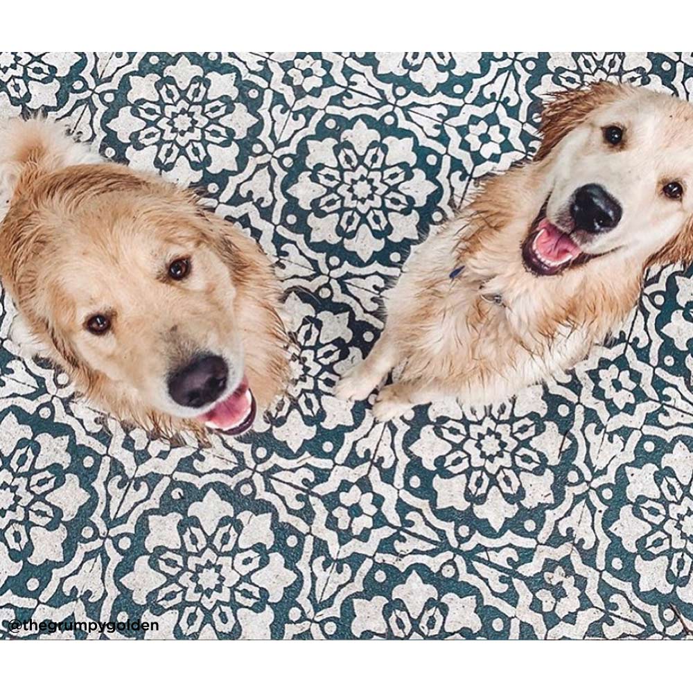 stenciled floor dogs