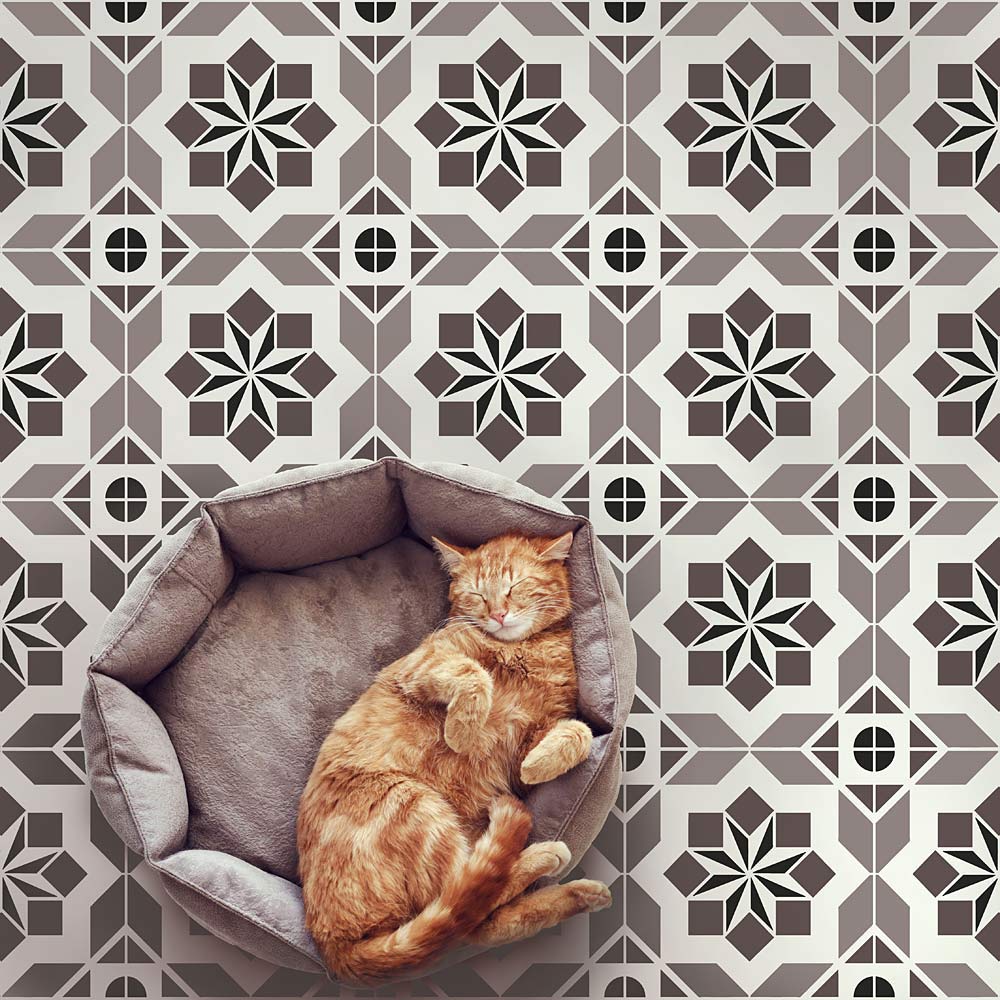 Atlas tile stenciled floor with orange cat