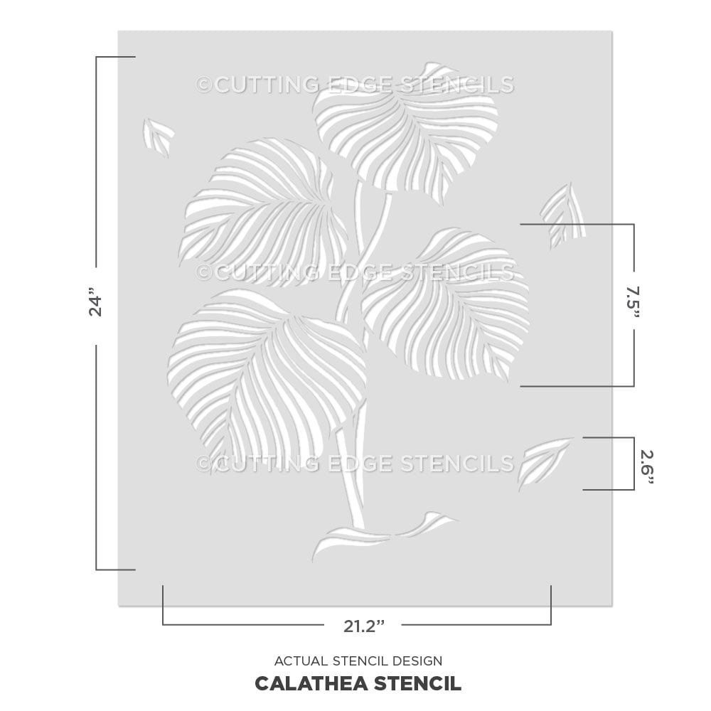 calathea wallpaper pattern tropical stencil design