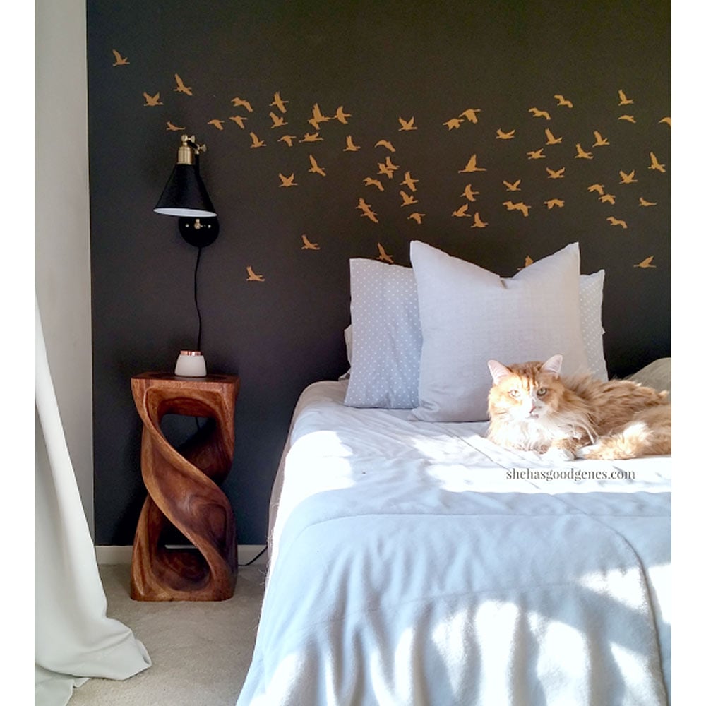 bird stencils dark bedroom wall