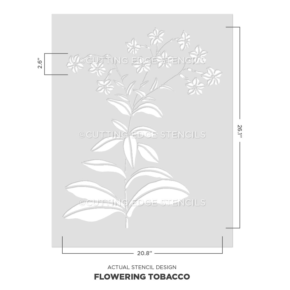 tobacco flower actual stencil image