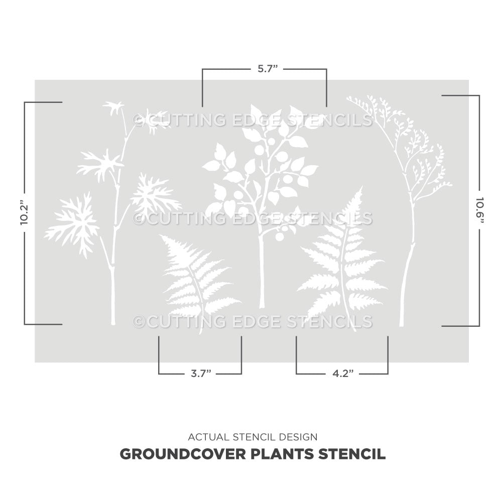 ground cover plant stencil