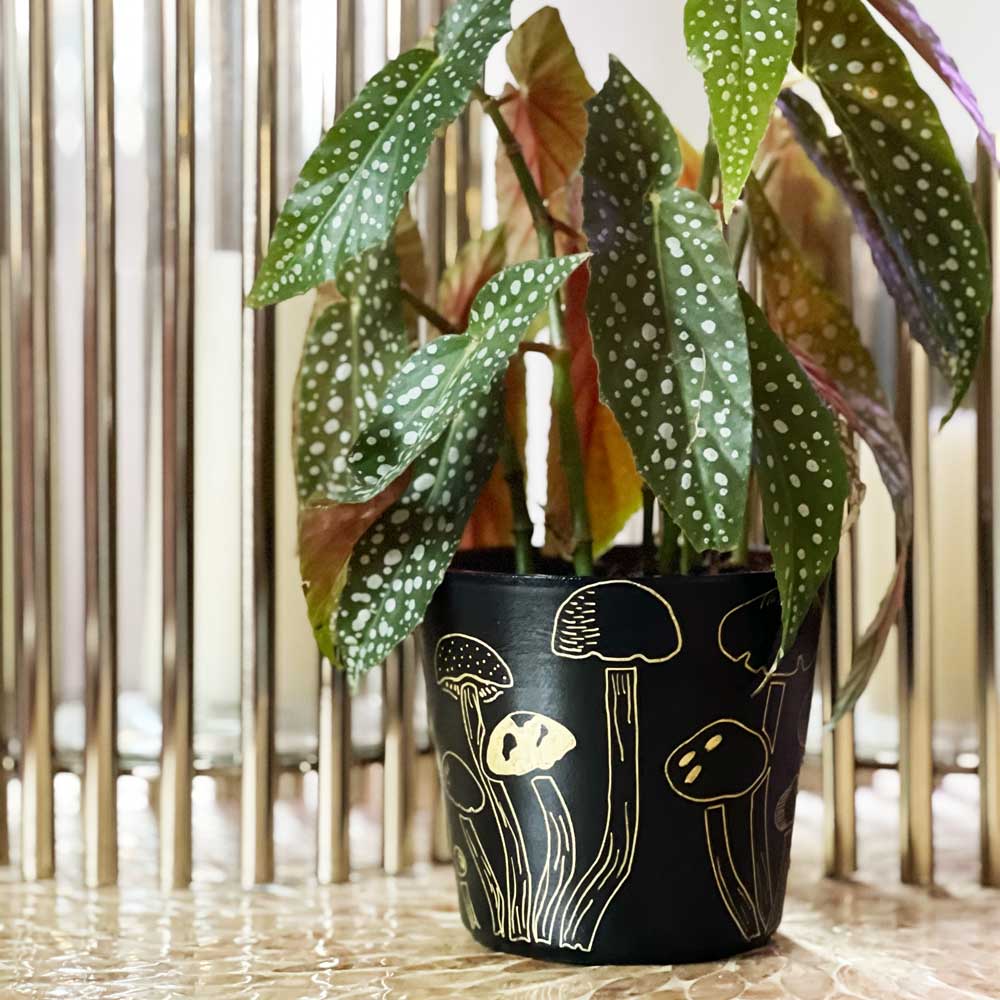 gold magic mushroom stenciled planter