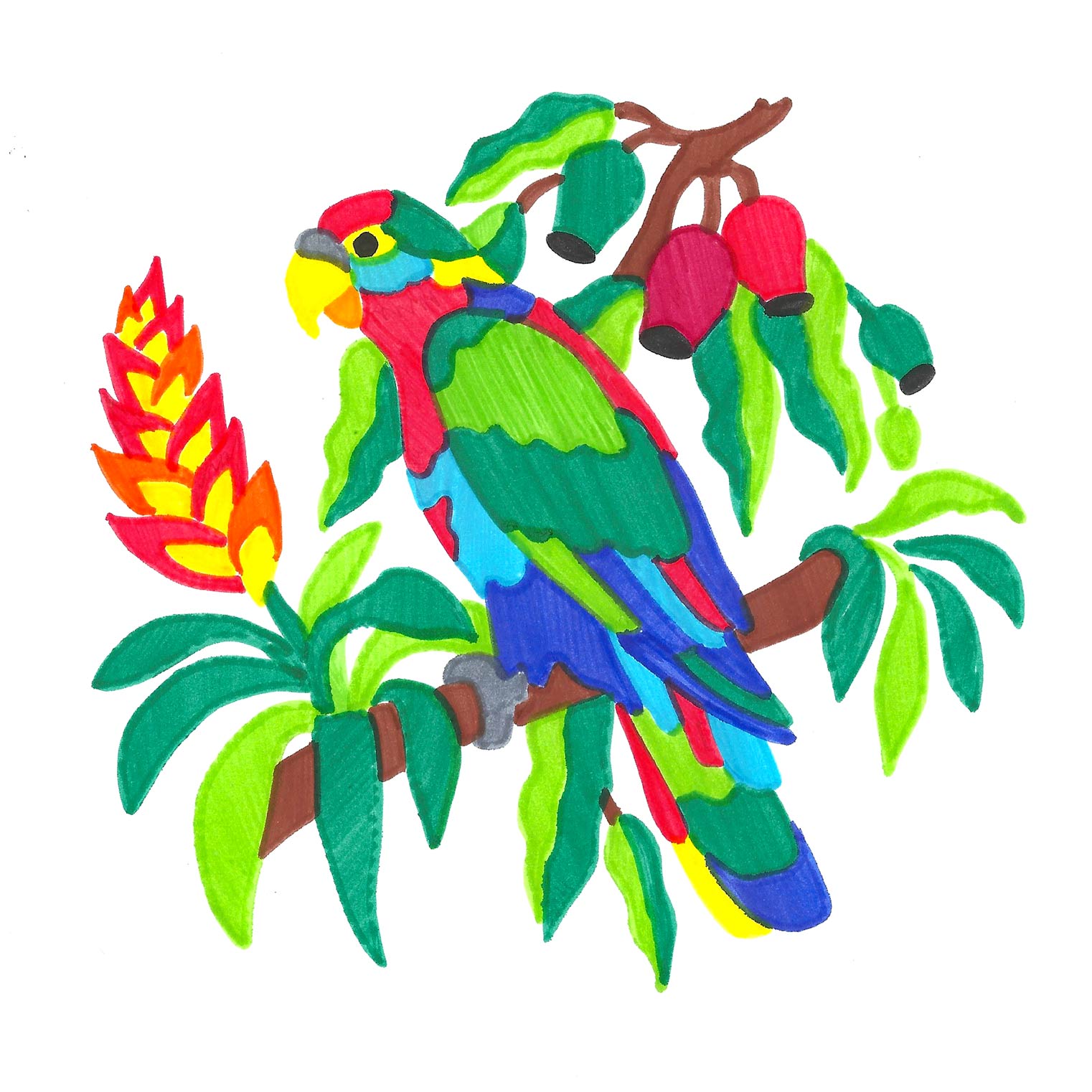 parrot stencil colorfoldz