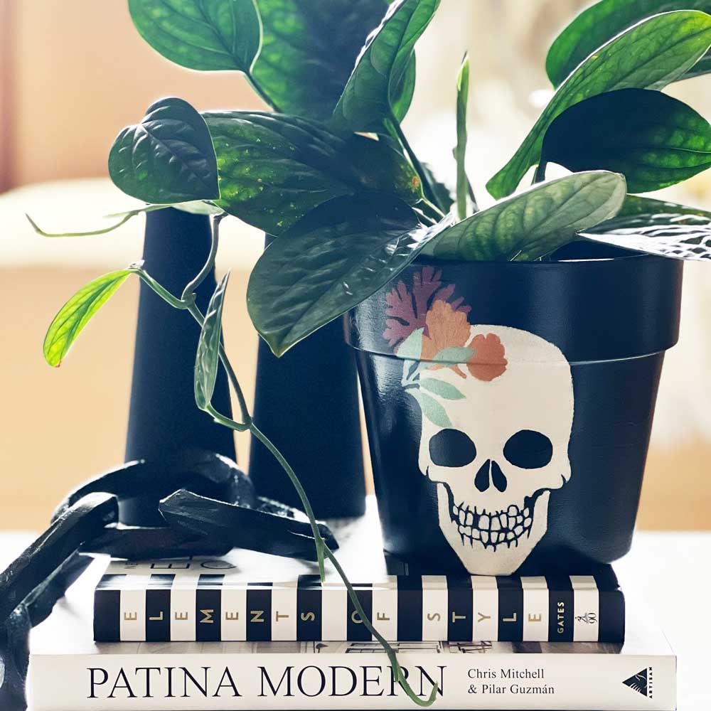 stenciled skull planter