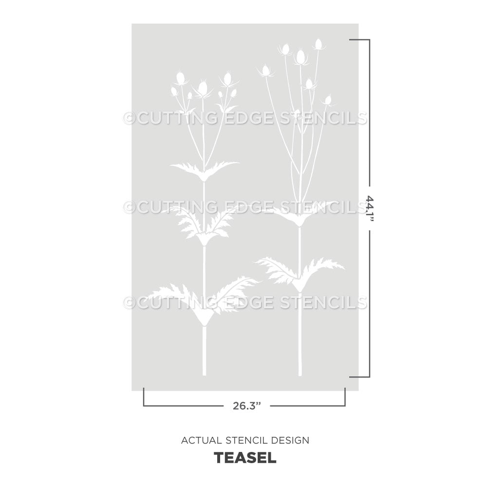 giant teasel stencil for walls
